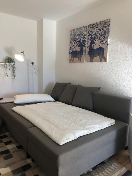 Ferienwohnung Bergbluete בראונלאגה מראה חיצוני תמונה